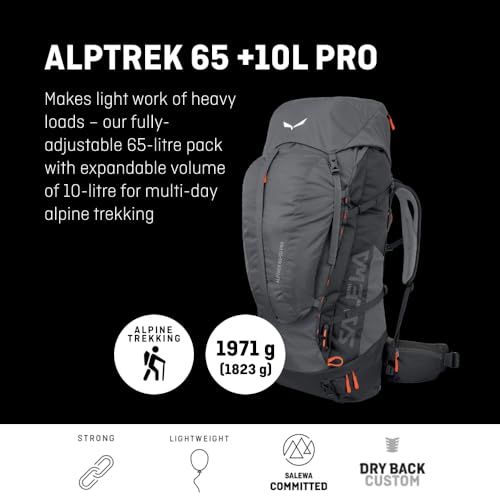 salewa-alptrek-65-10-l-pro-zaino-trekking image 8