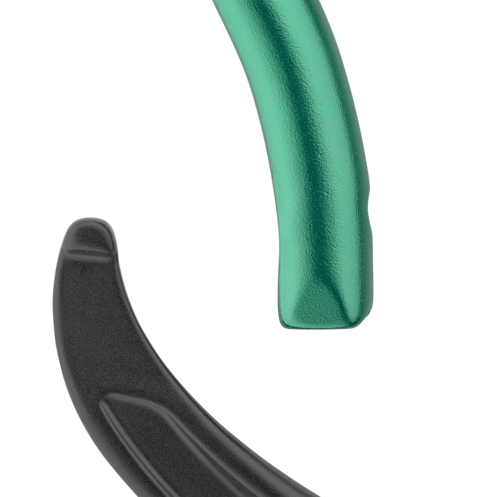 salewa-ortles-bent-carabiner-moschettone-black-irish-green-uni-unisex image 2