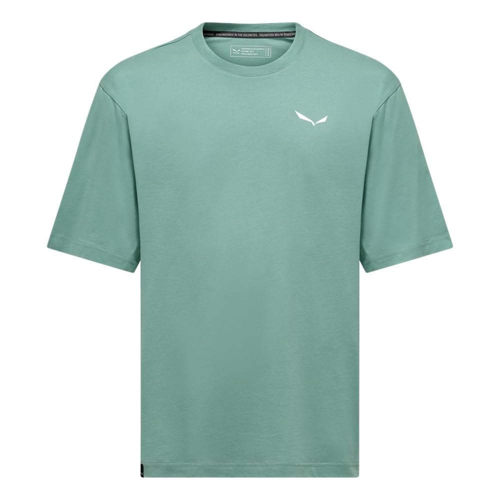 salewa-eagle-loose-t-shirt-m-t-shirt-uomo image 6