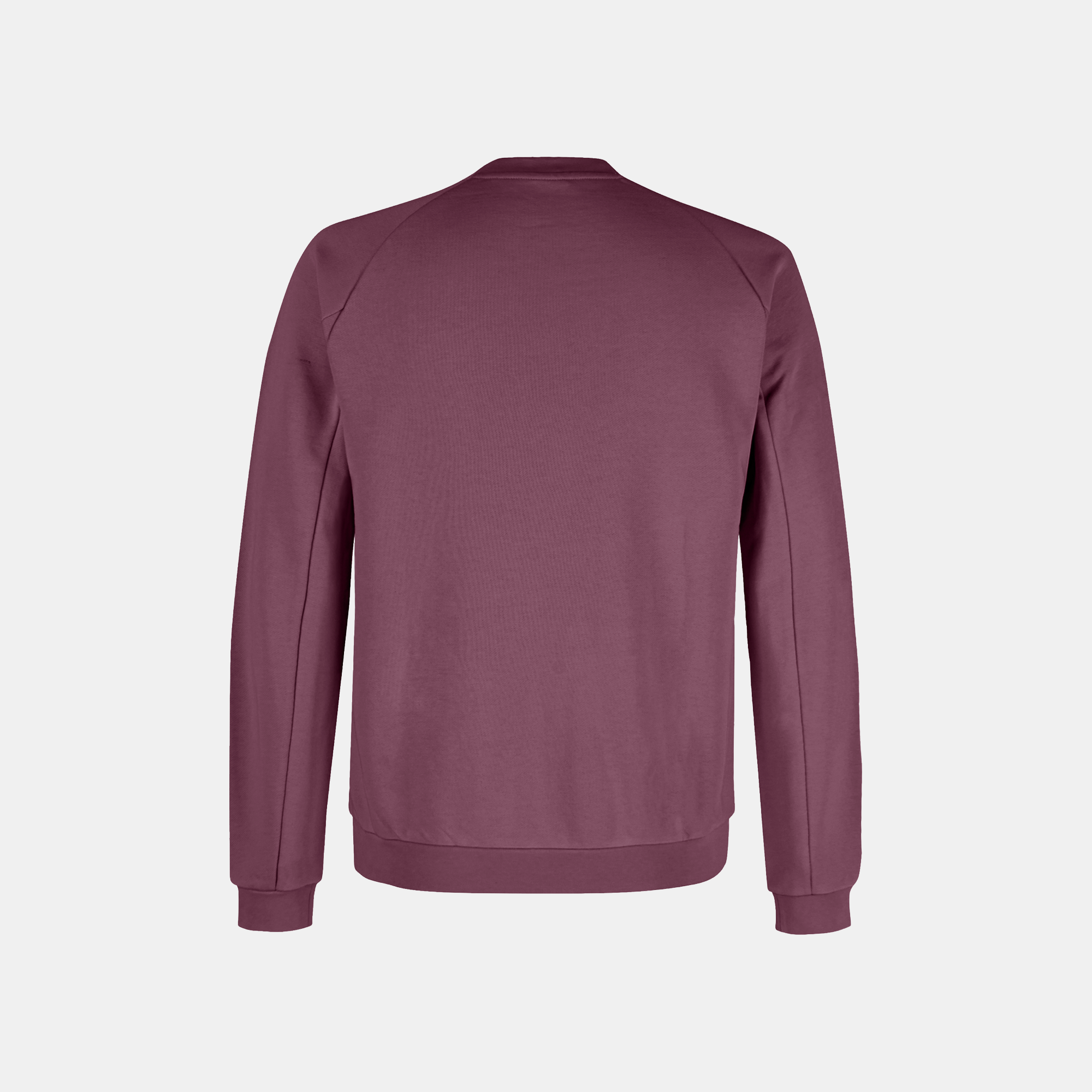 montura-gobi-crewneck-sweater-felpa-girocollo-uomo-in-cotone-organico image 6