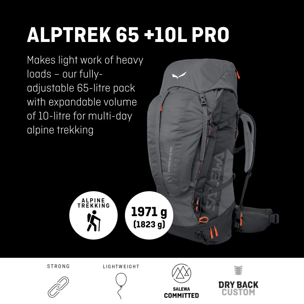salewa-alptrek-65-10-l-pro-zaino-trekking image 2