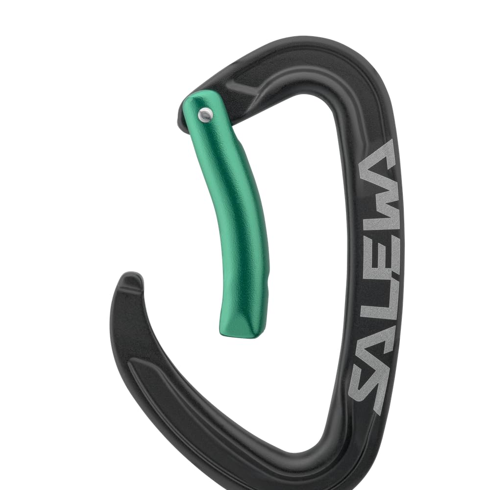 salewa-ortles-bent-carabiner-moschettone-black-irish-green-uni-unisex image 3