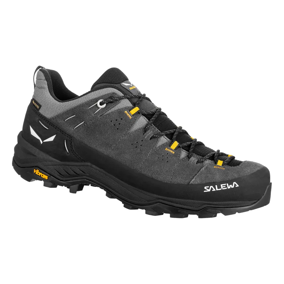 salewa-alp-trainer-2-gtx-m-scarpe-da-trekking-impermeabili-da-uomo image 1