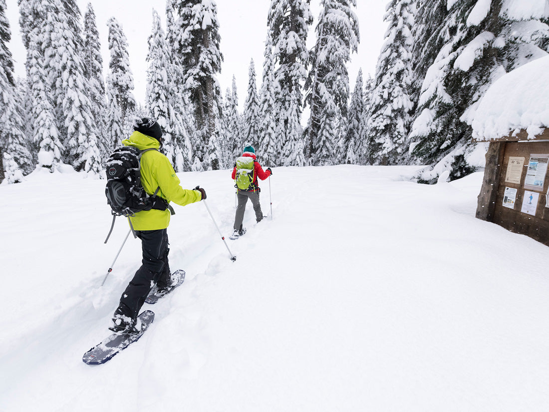 msr-dynalock-trail-backcountry-poles-bastoncini-da-trekking-e-ciaspolate image 6