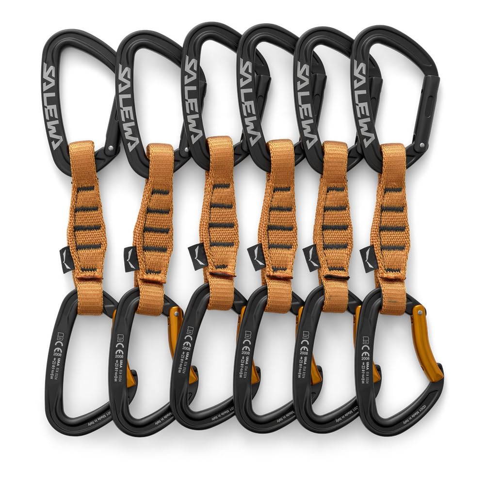 salewa-ortles-straight-bent-110-quickdraw-6-pack-set-6-rinvii-110-mm image 1