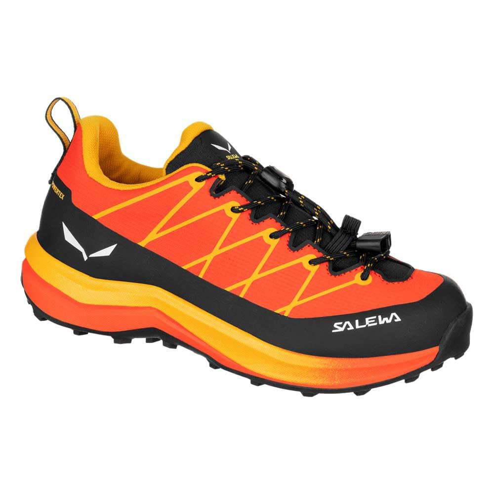 salewa-wildfire-2-ptx-scarpe-da-avvicinamento-bambino-unisex image 2