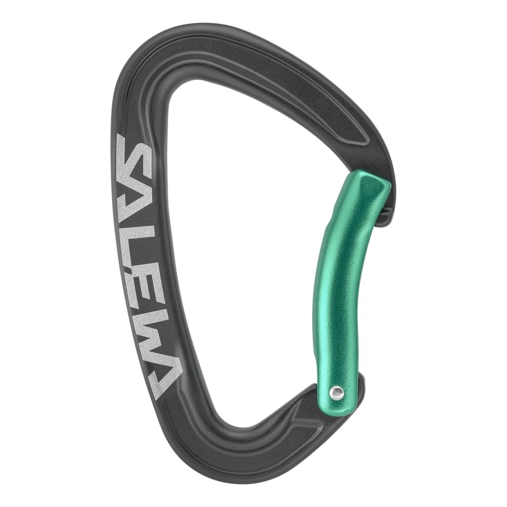 salewa-ortles-bent-carabiner-moschettone-black-irish-green-uni-unisex image 1