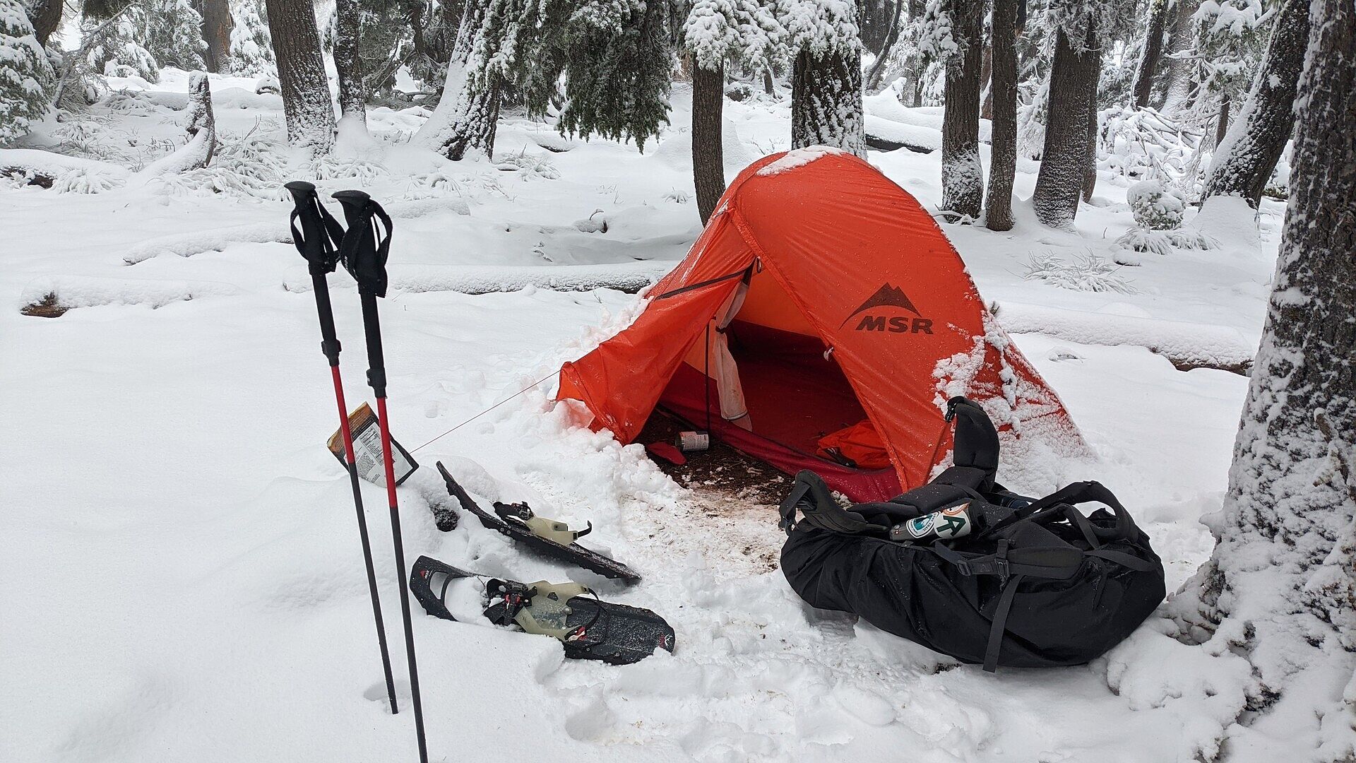 Perfetta per scialpinismo