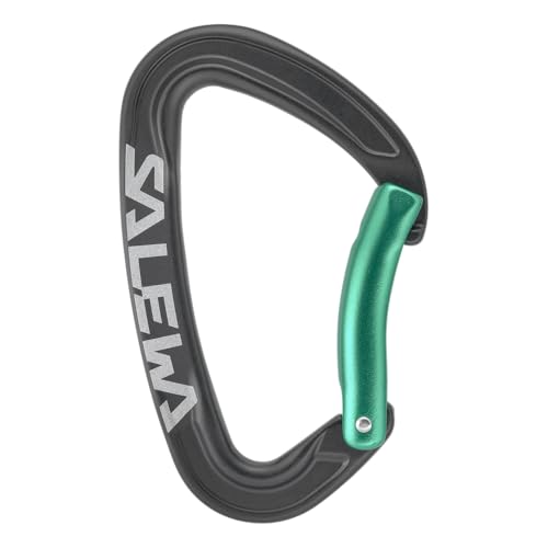 salewa-ortles-bent-carabiner-moschettone-black-irish-green-uni-unisex image 8