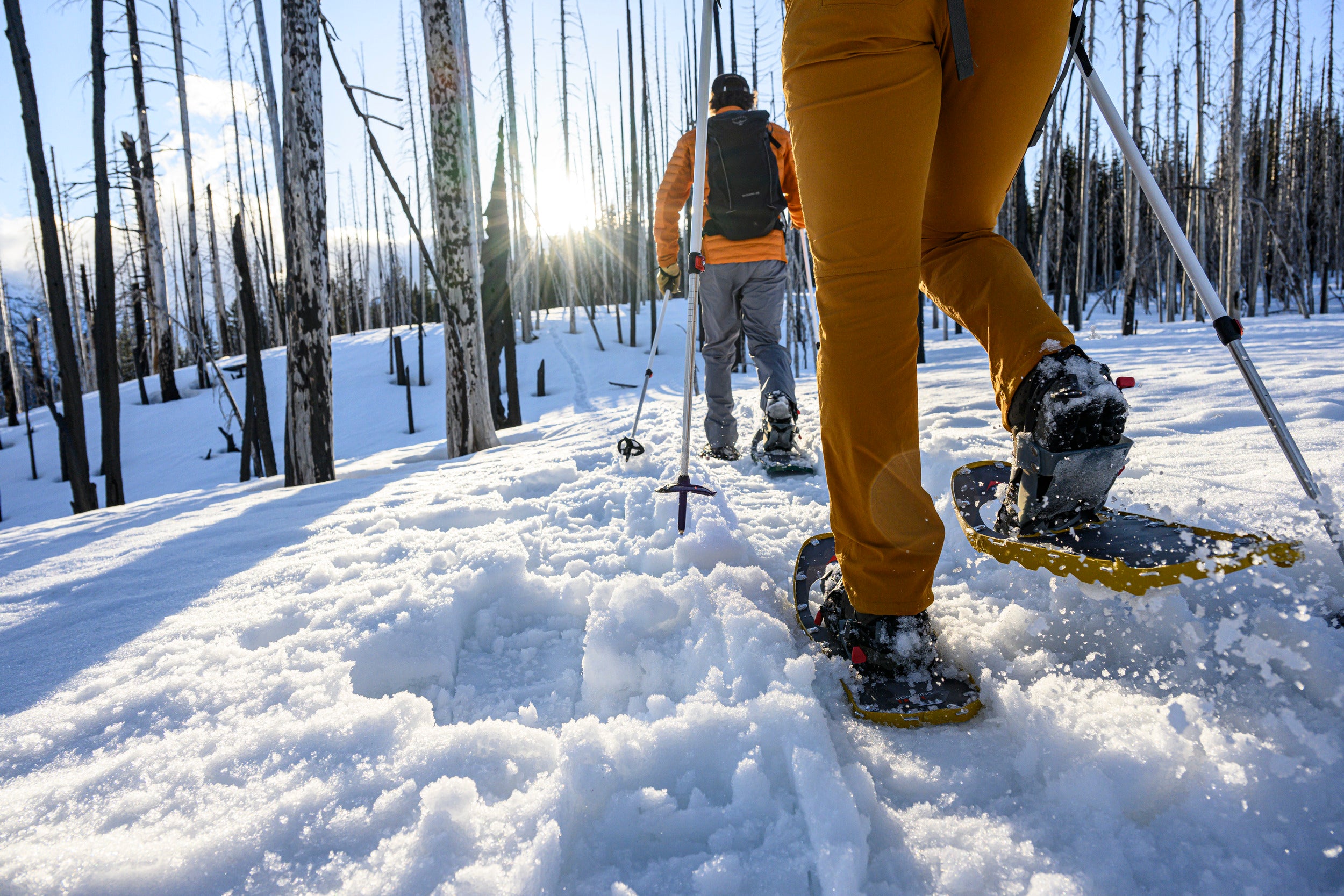 msr-women-s-lightning-trail-snowshoes-ciaspole-donna image 7