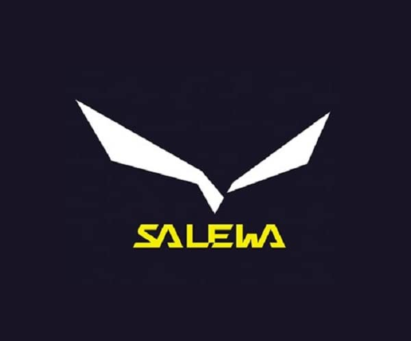 salewa-hot-g3-bent-carabiner-moschettone-bent-43-g image 5