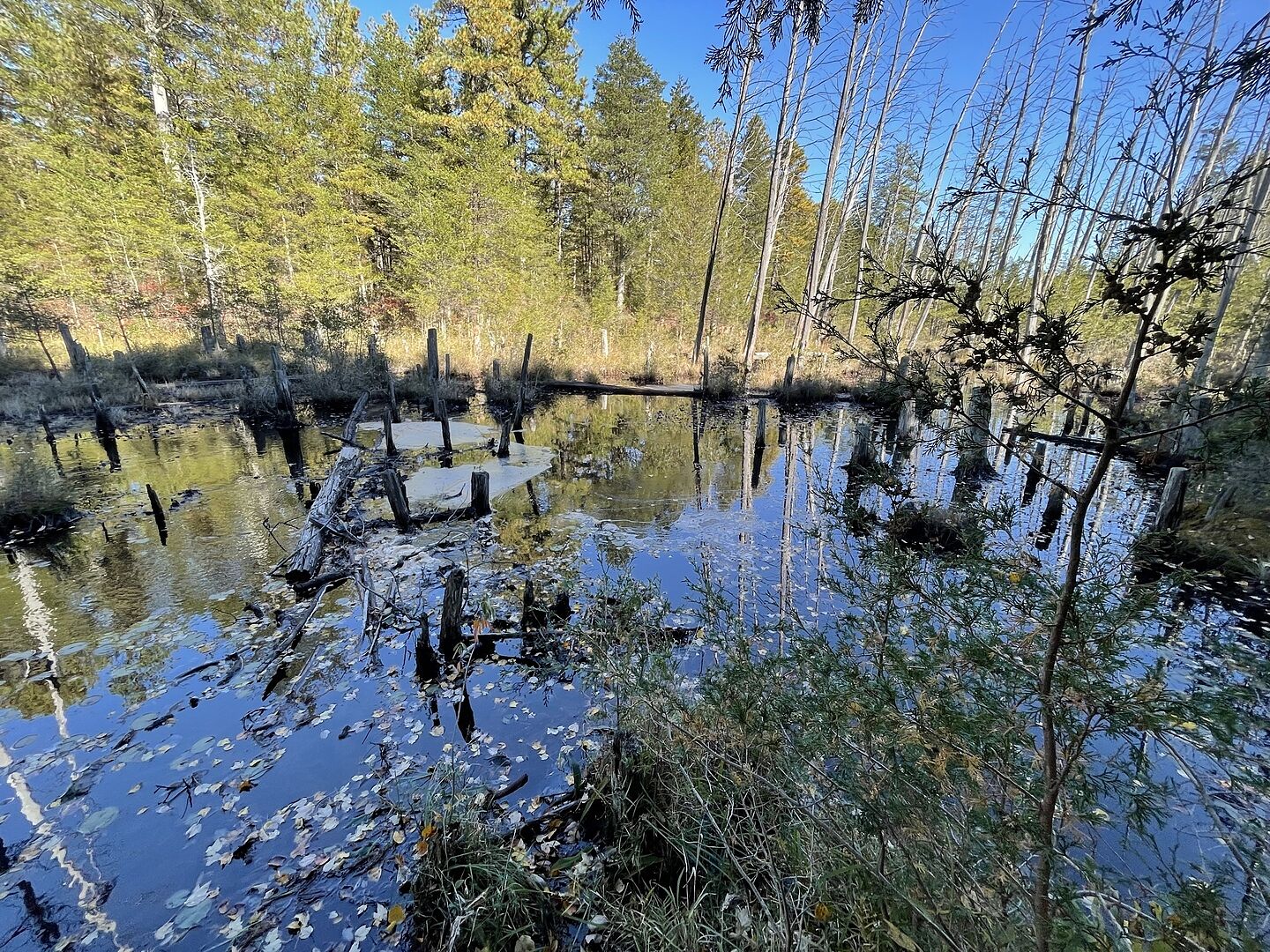 Acqua sicura ovunque
